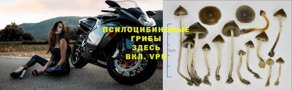 скорость Богданович