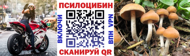 Галлюциногенные грибы ЛСД  где можно купить наркотик  Барнаул 